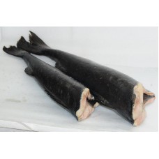 銀鱈魚 Black Cod